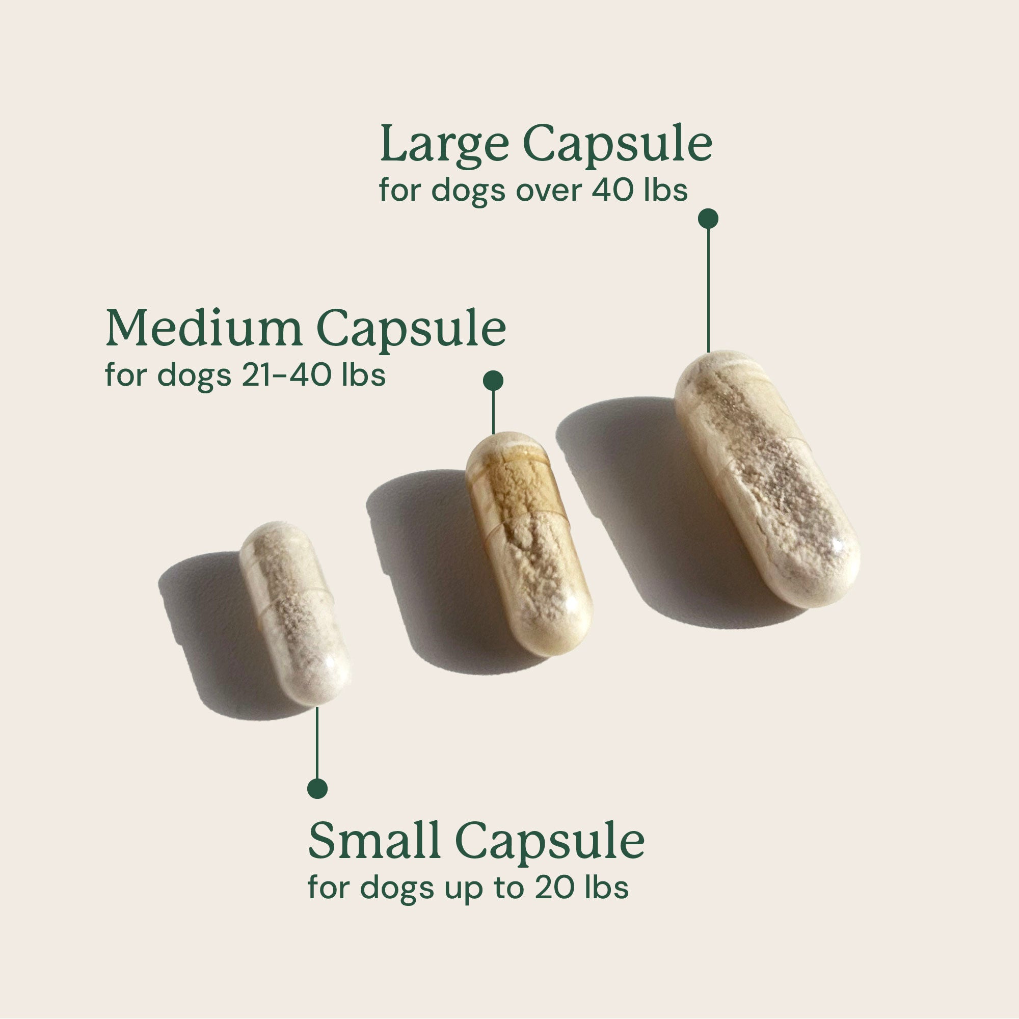 AB-EM_GMP_CapsuleSize.jpg
