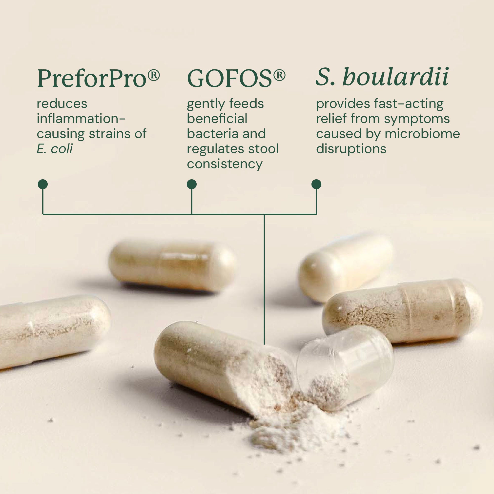 AB-EM_GMP_Ingredients.jpg
