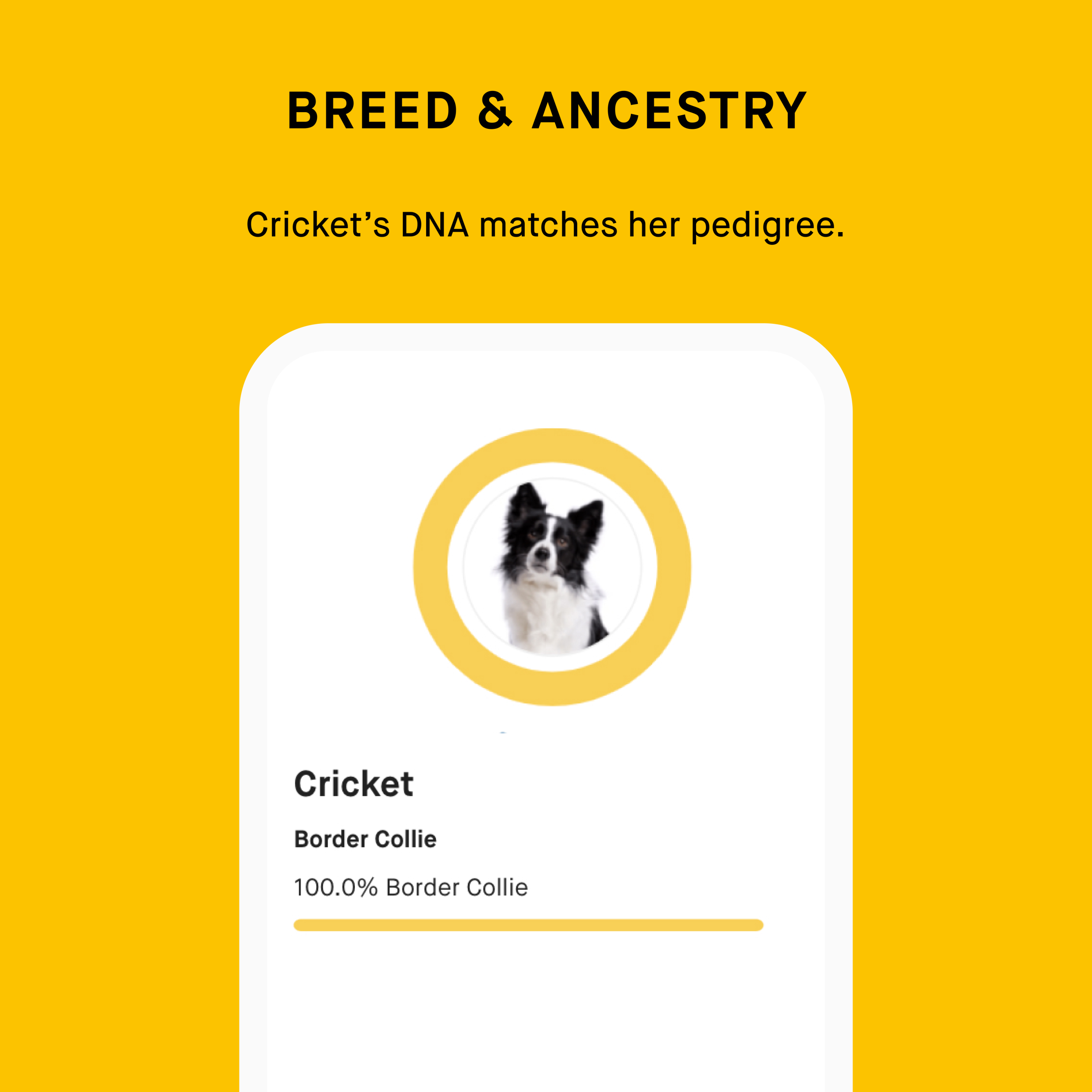 Breeder-4_c7f3f6df-4c9f-4700-b624-978564a2c9f7.png