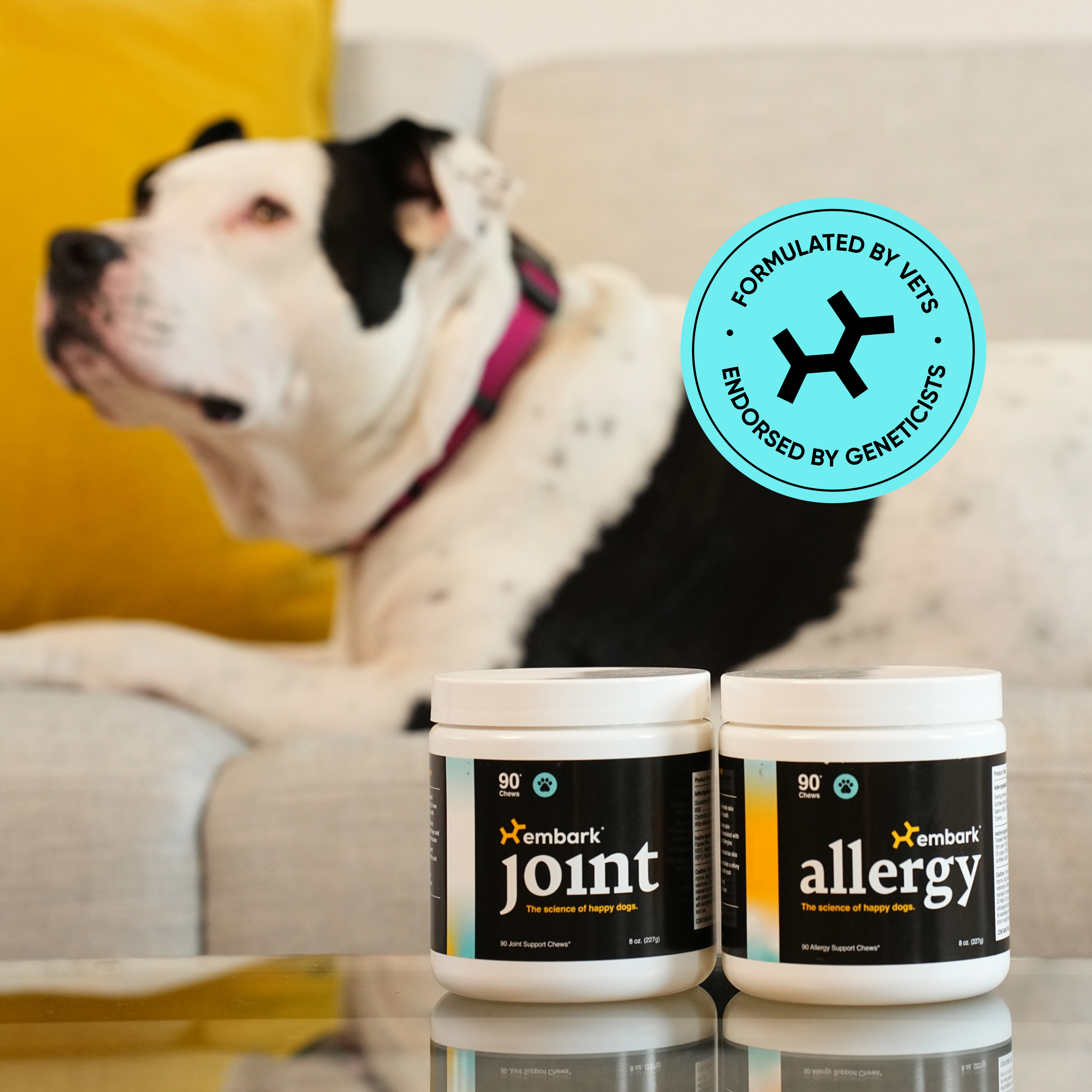 SKUs_Allergy_Joint_-_2.png