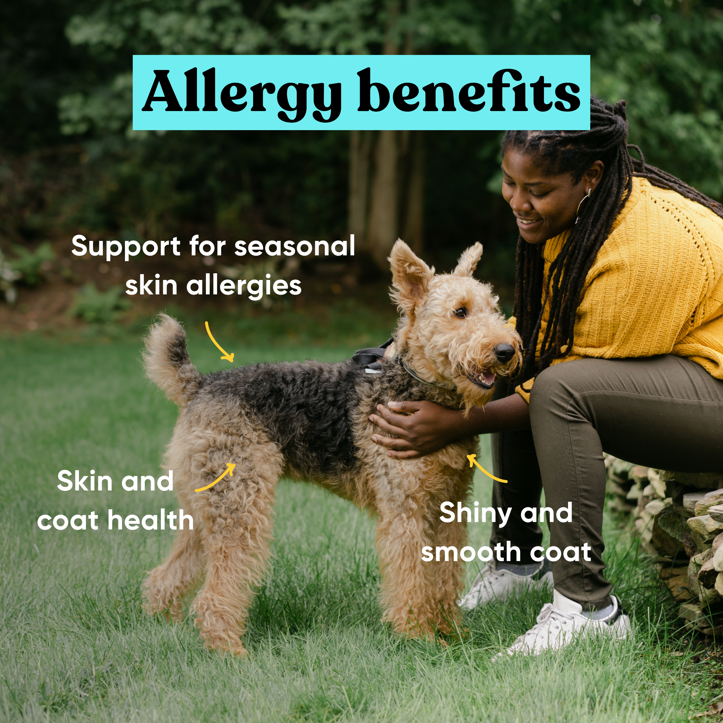 SKUs_Allergy_Joint_-_3.png